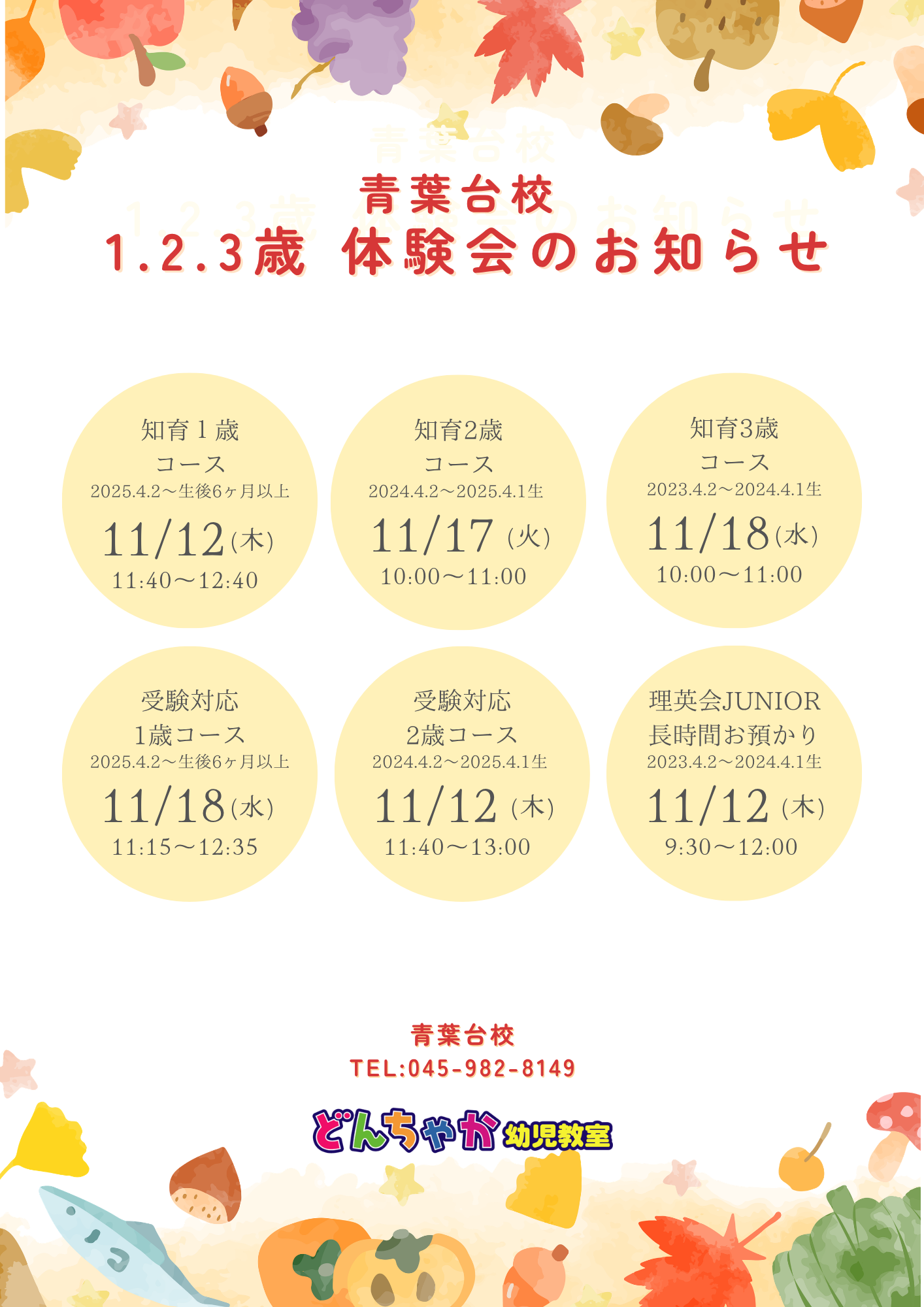 どんちゃか幼児教室 青葉台校 2026年11月体験授業のご案内